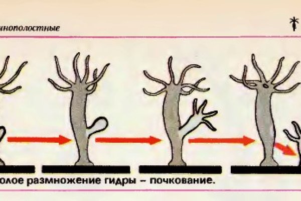 Сайты наркоты